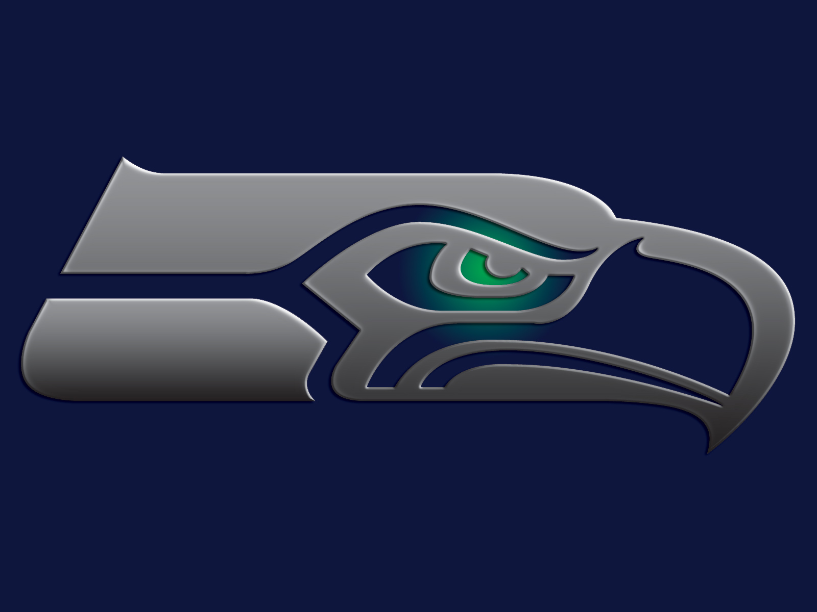 Seahawks_Logo_Steel_bg_16