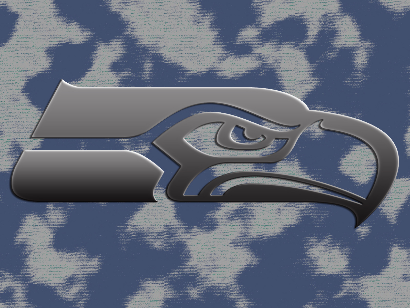 Seahawks_Logo_Steel_canvas1